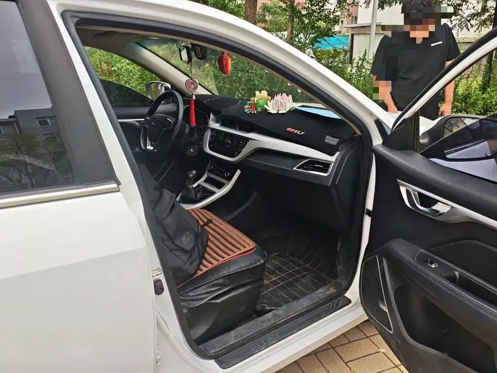 Фото 18 - Geely Vision