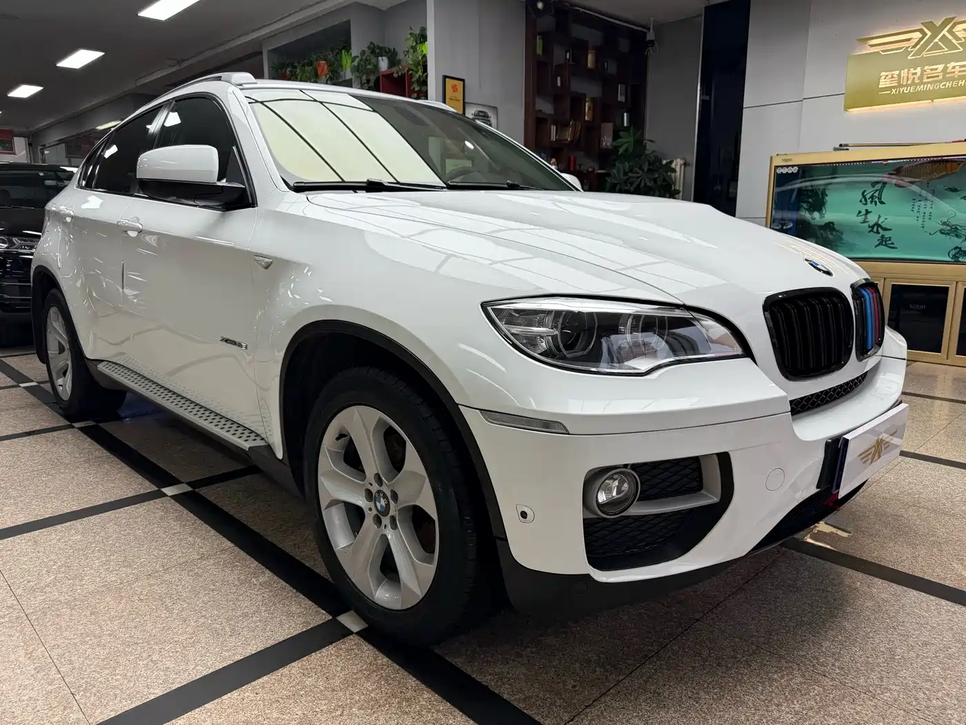 BMW X6 2013 xDrive35i фото 3