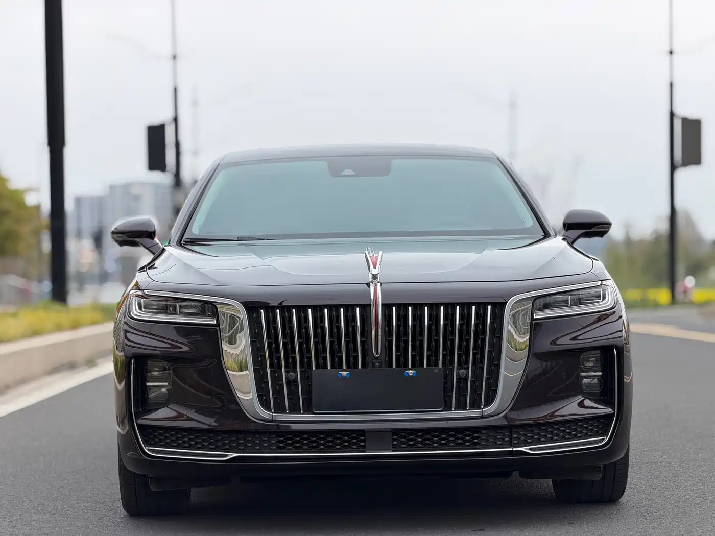 Hongqi H9 2020 2.0T Smart Connection Qi Chang Edition фото 2