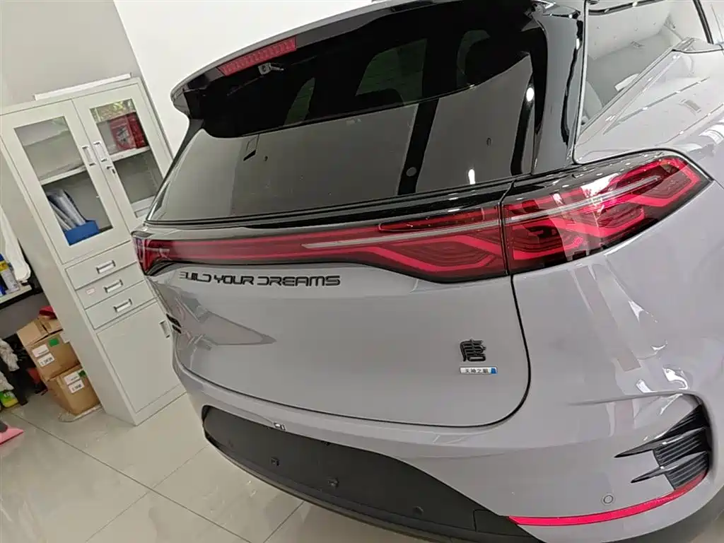 BYD Tang New Energy 2025 Smart Driving Edition DM-i 115KM Flagship фото 6