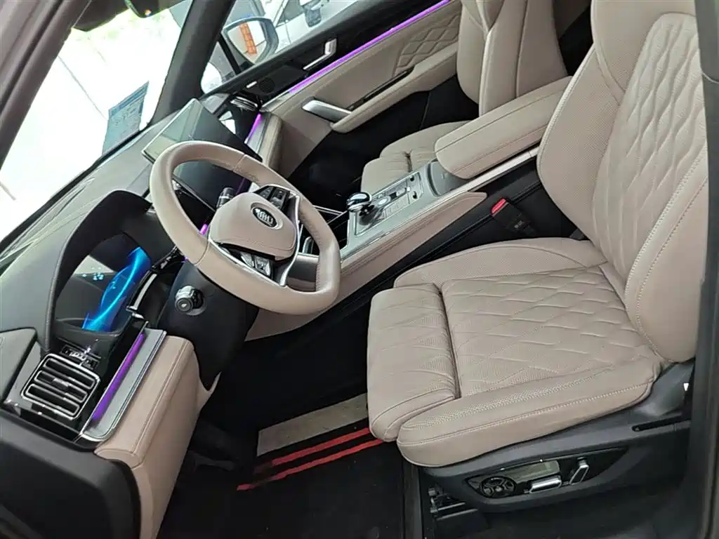 BYD Tang New Energy 2025 Smart Driving Edition DM-i 115KM Flagship фото 15