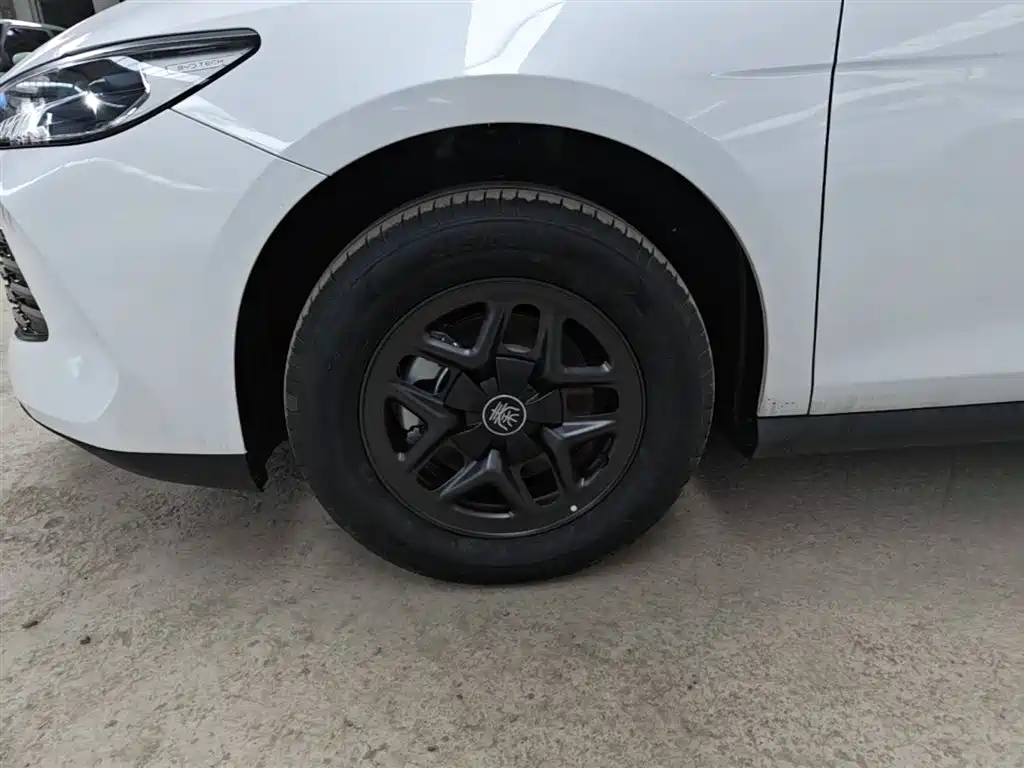BYD Qin PLUS 2026 DM-i Smart Edition 128KM Progressive фото 23