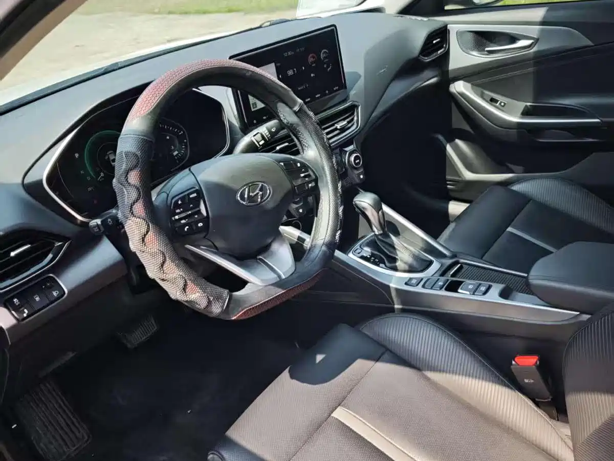 Hyundai Fista 2021 280TGDi DLX Luxury Edition фото 6