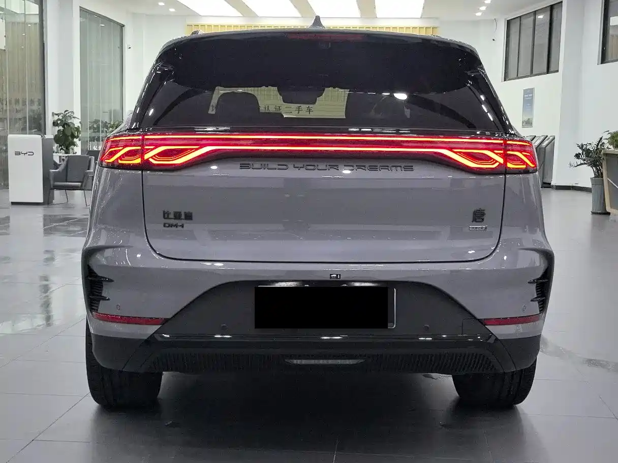 BYD Tang New Energy 2025 Smart Driving Edition DM-i 115KM Flagship фото 4