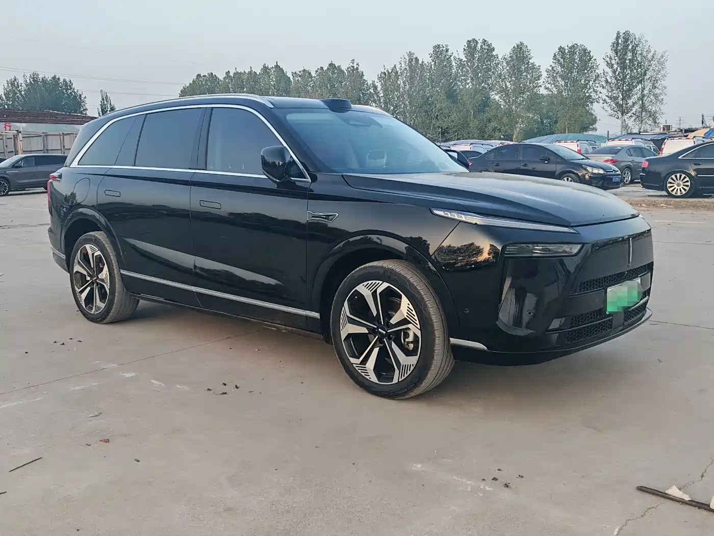 WEI PAI WEI BRAND BLUE MOUNTAIN