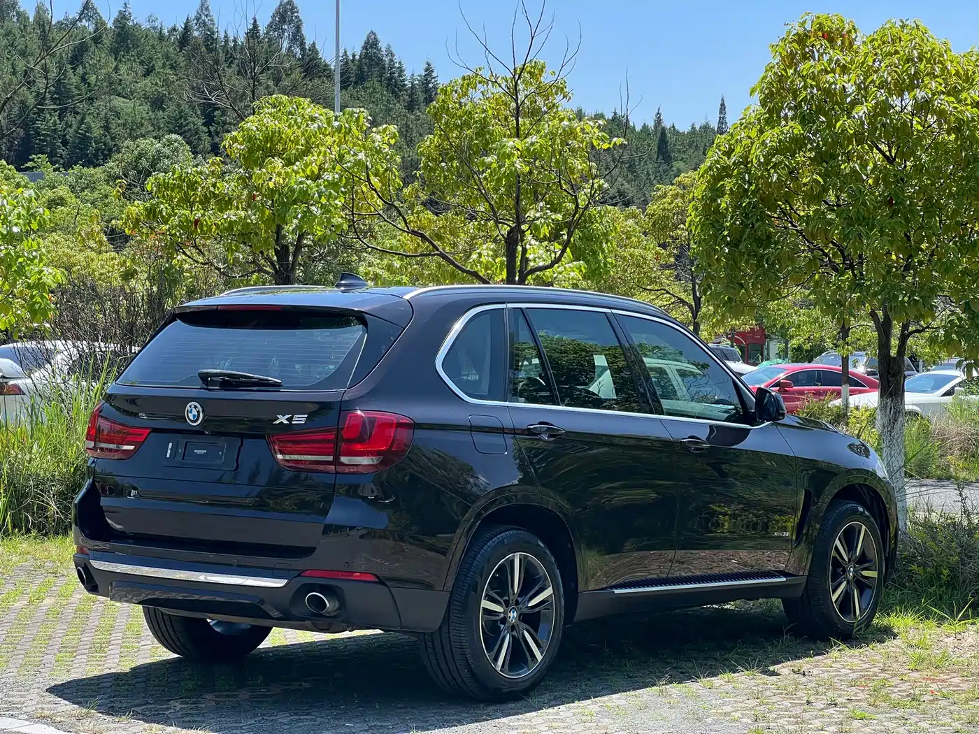 BMW X5 (Import) 2017 xDrive35i Elegance фото 19