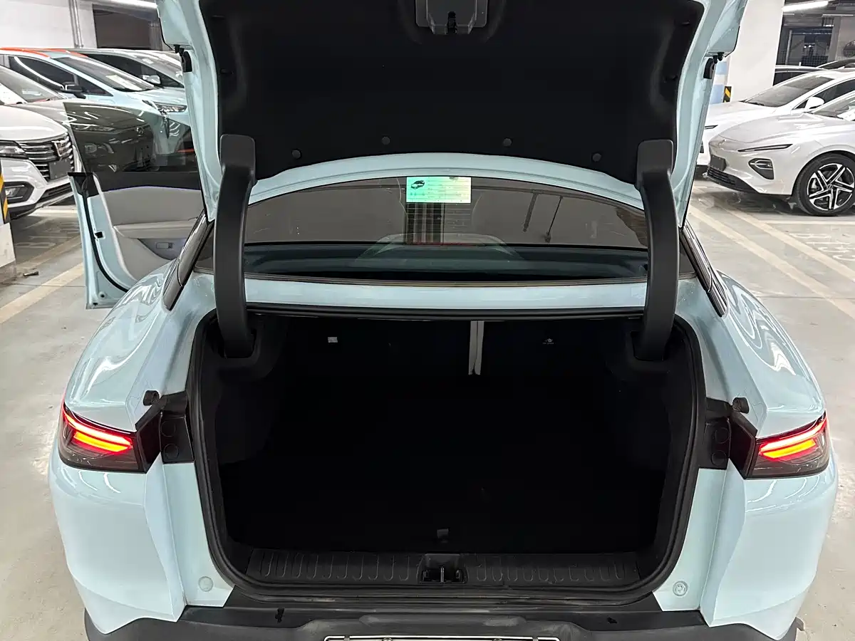 ARCFOX EXTREME FOX POLAR FOX ALPHA S5