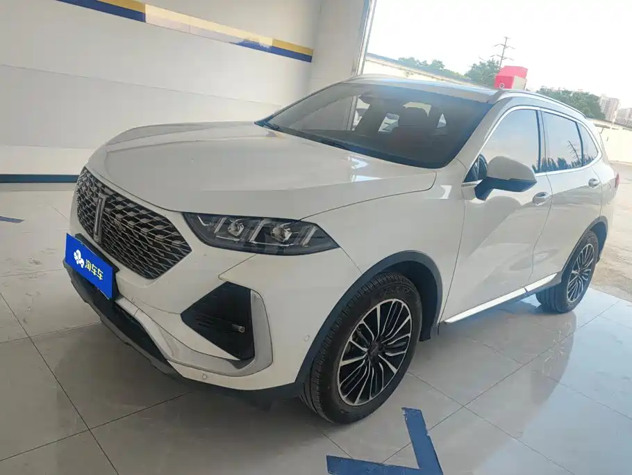 WEY Latte DHT 2022 2022 1.5T DHT Large