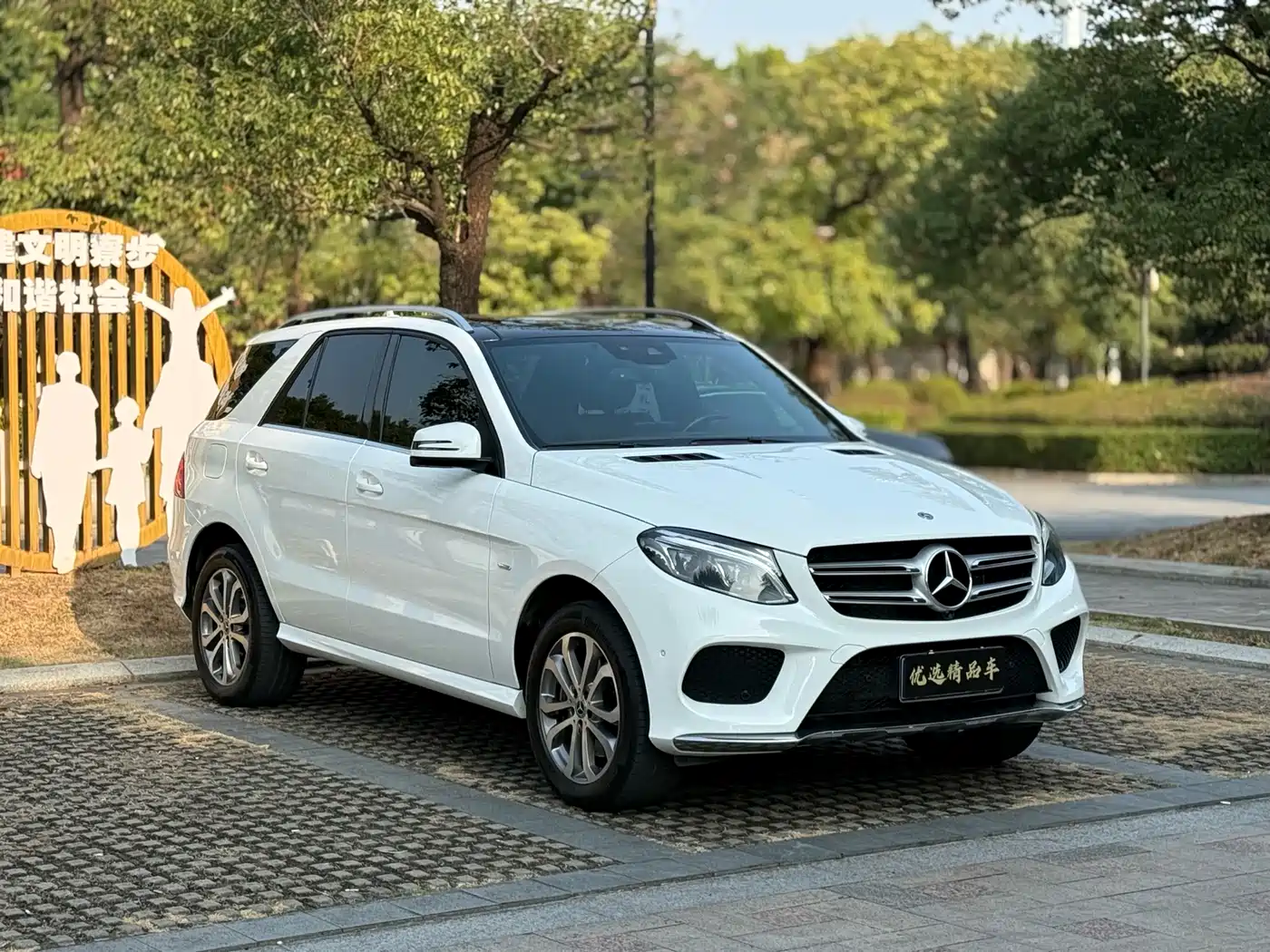 Mercedes-Benz GLE 2017 GLE 320 4MATIC Dynamic фото 3