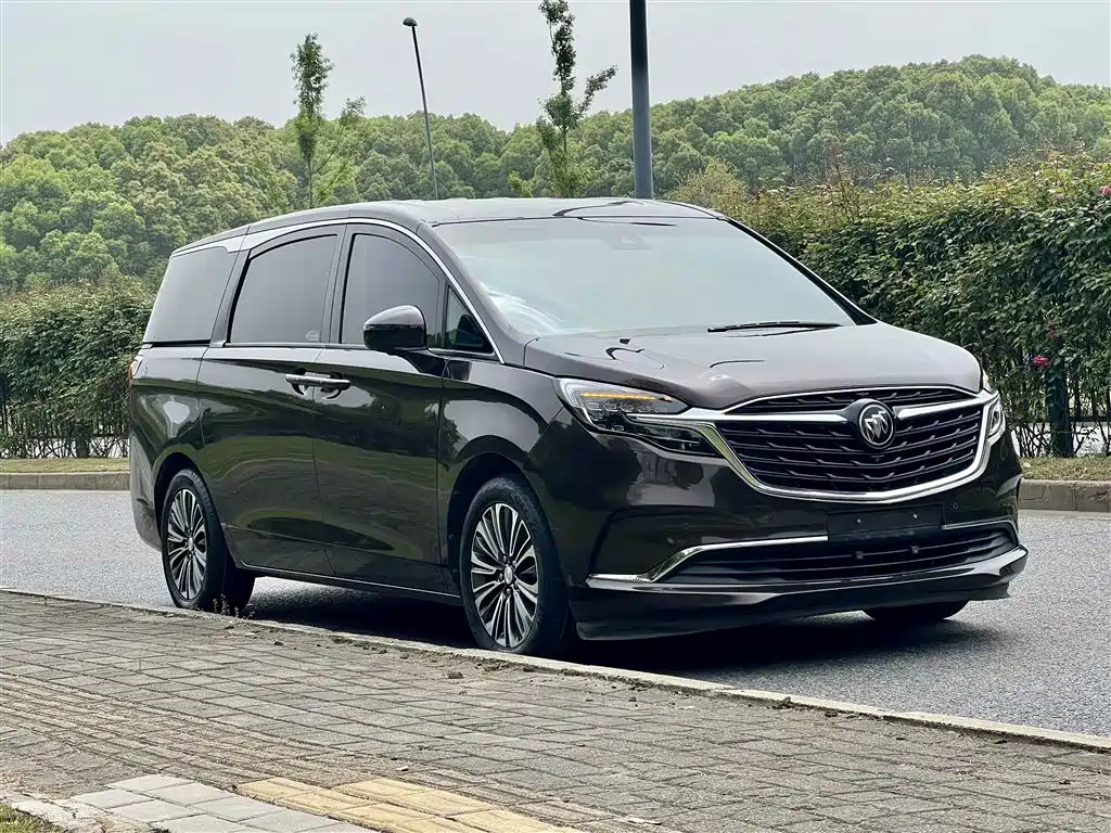 Buick GL8 2021 ES Landlord 653T Premium фото 3