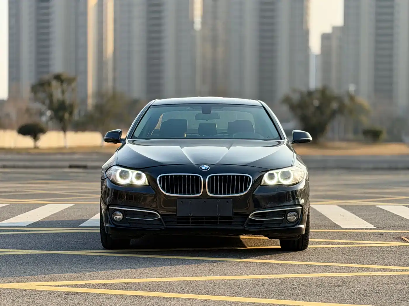 BMW 5 Series 2014 525Li Luxury Design Package фото 3