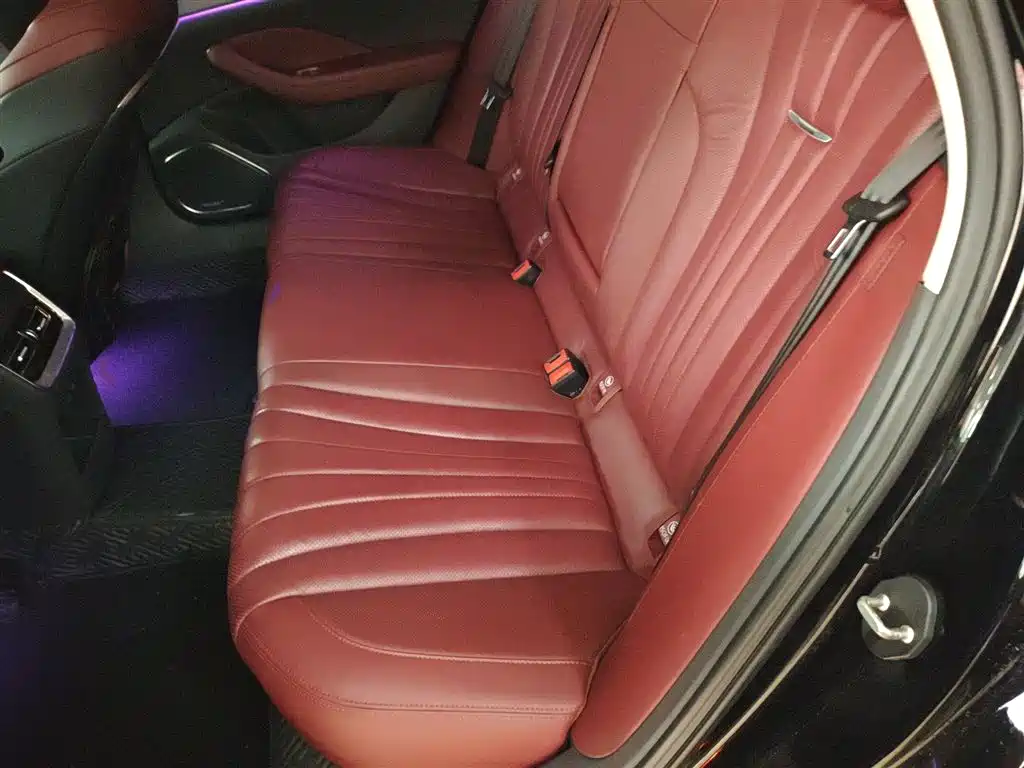 Hongqi H5 2023 2.0T Auto Smart Connect Flag Comfort фото 17