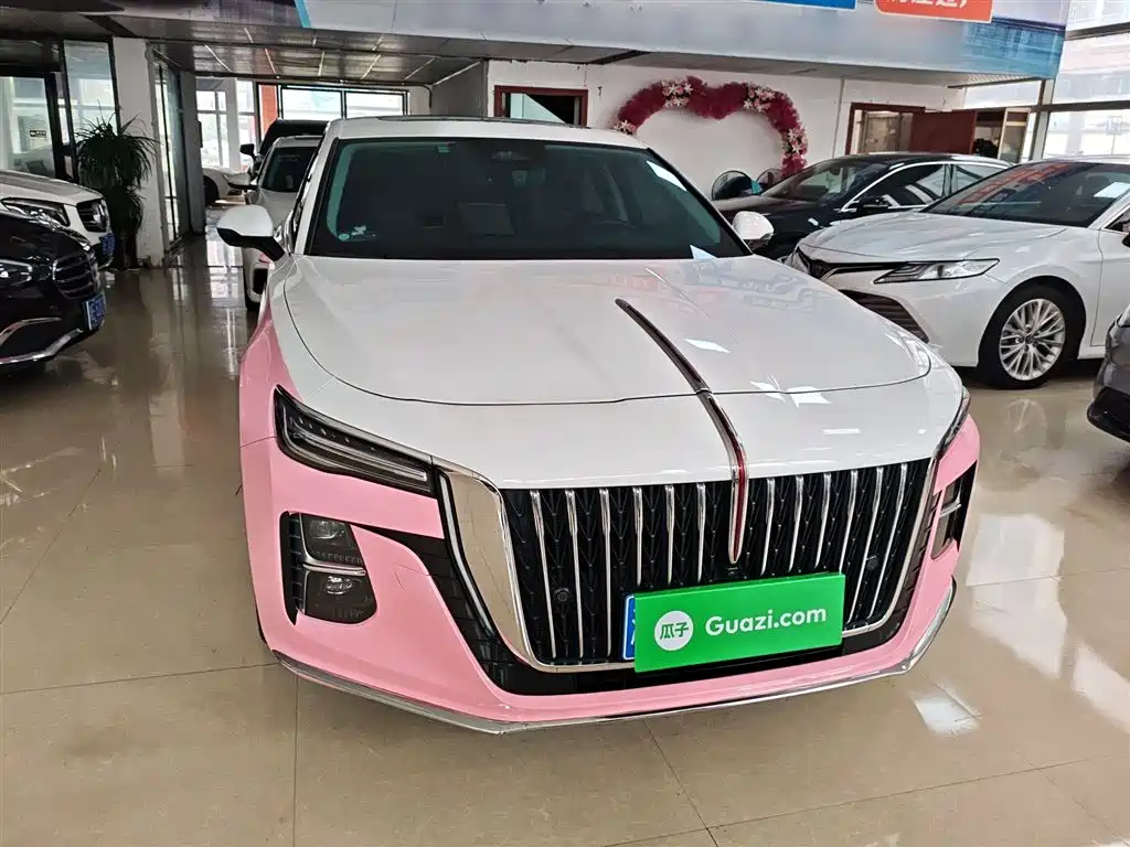 Hongqi H5 2023 2.0T Auto Smart Connect Flag Comfort фото 3