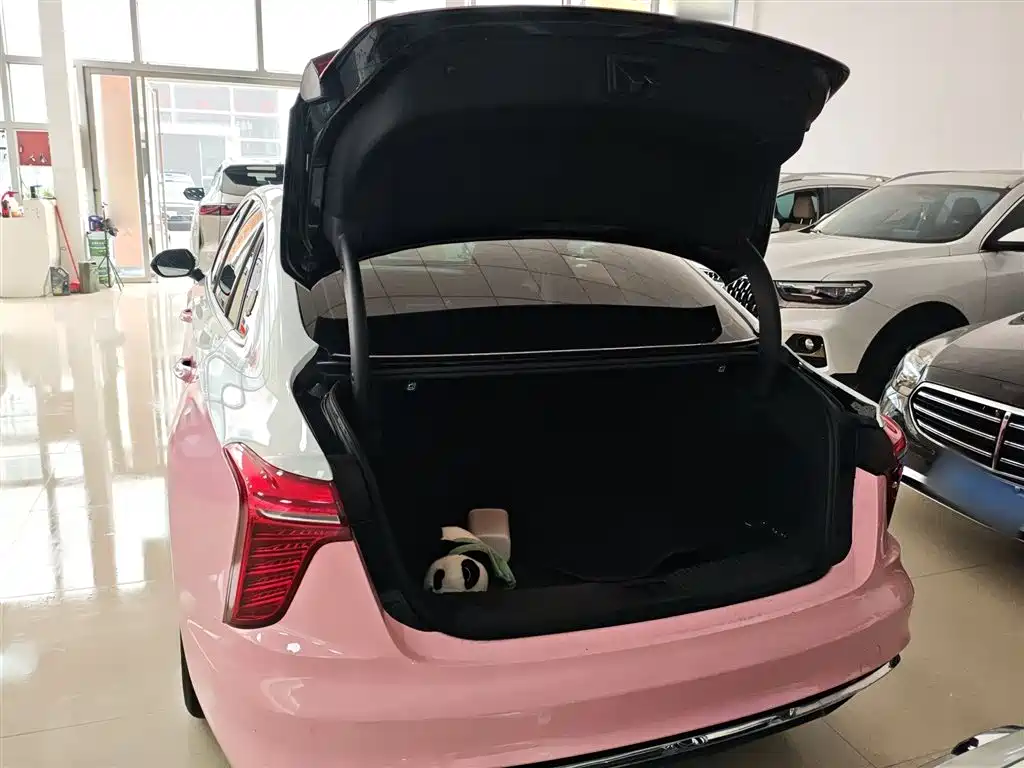 Hongqi H5 2023 2.0T Auto Smart Connect Flag Comfort фото 19