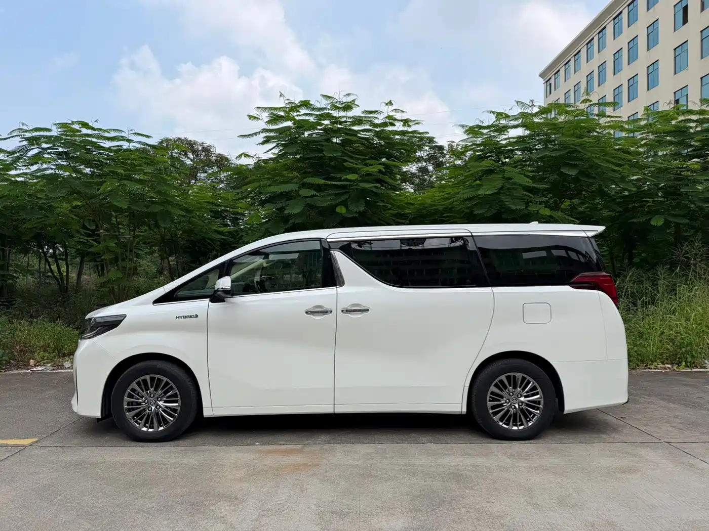 Фото 4 - Toyota Alphard