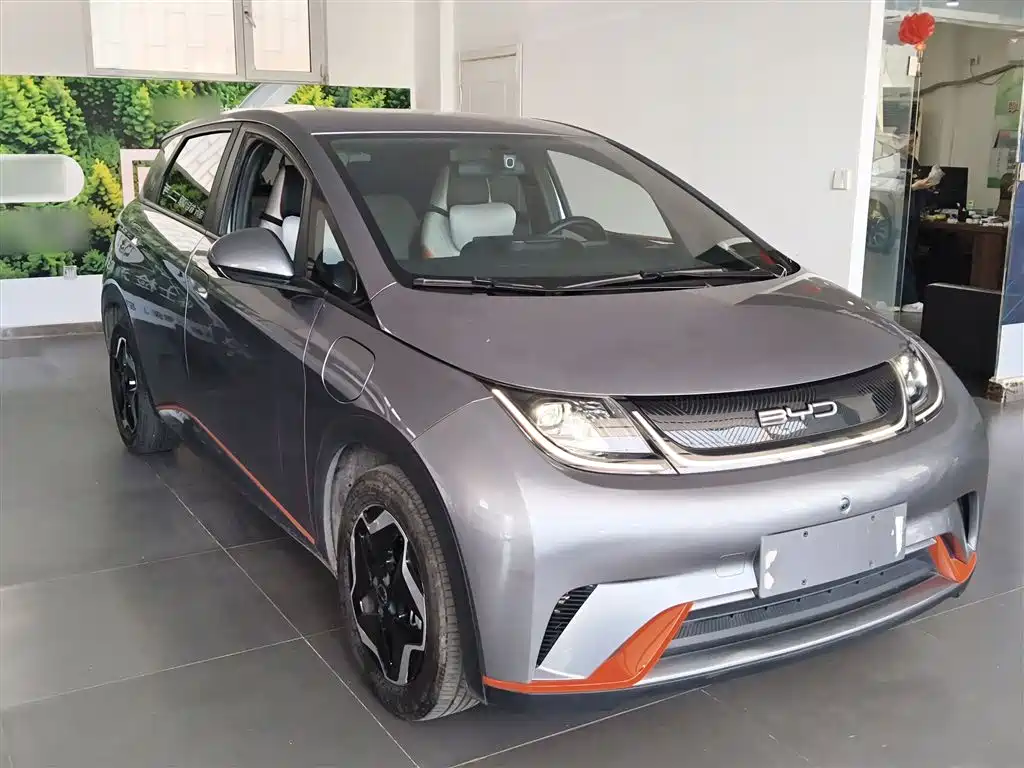 Фото 4 - BYD Dolphin
