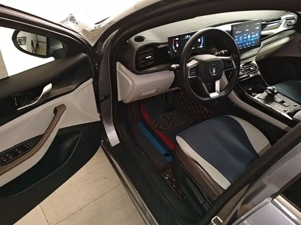 BYD Qin PLUS 2024 Glory Edition DM-i 55KM Leading фото 16