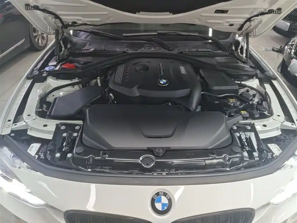 BMW 3 Series 2019 320Li M Luxury Package фото 20