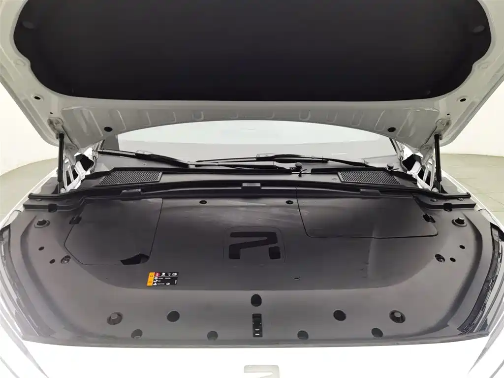 RISING AUTO FEIFAN R7