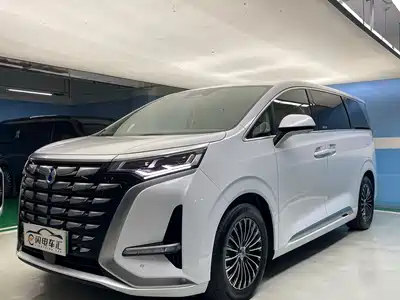 Denza D9