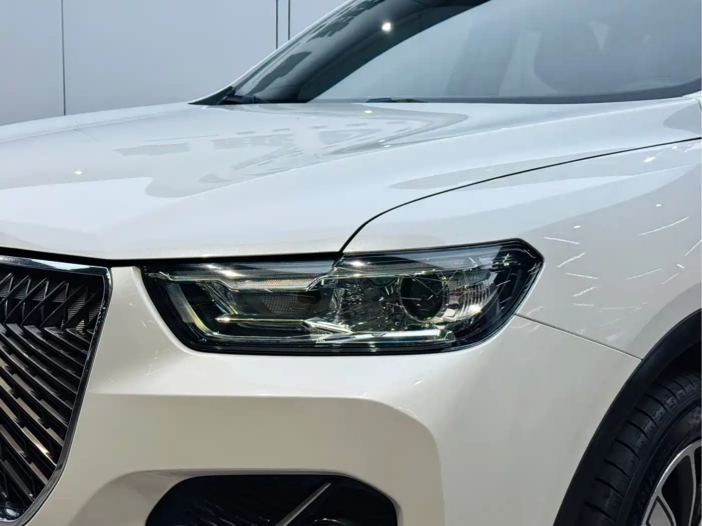 Haval H6 2021 1.5GDIT Automatic Champion Edition фото 6