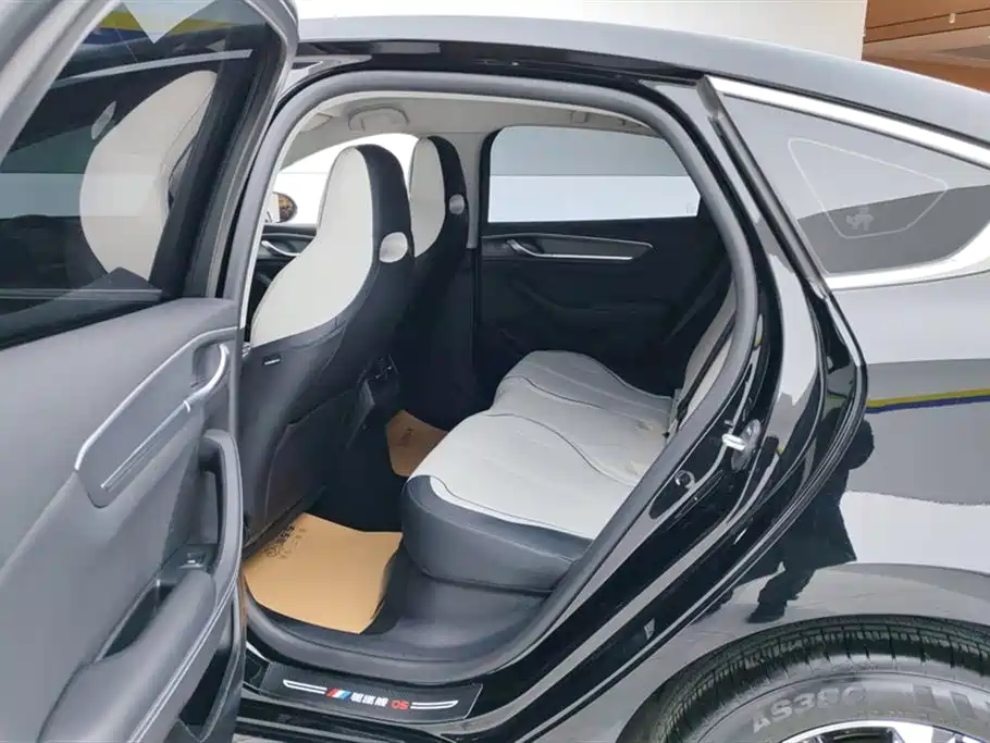 BYD Destroyer 05 2024 Glory Edition DM-i 120KM Luxury фото 11