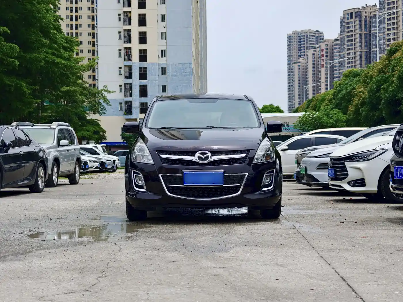 Mazda 8 2013 2013 2.5L Premium