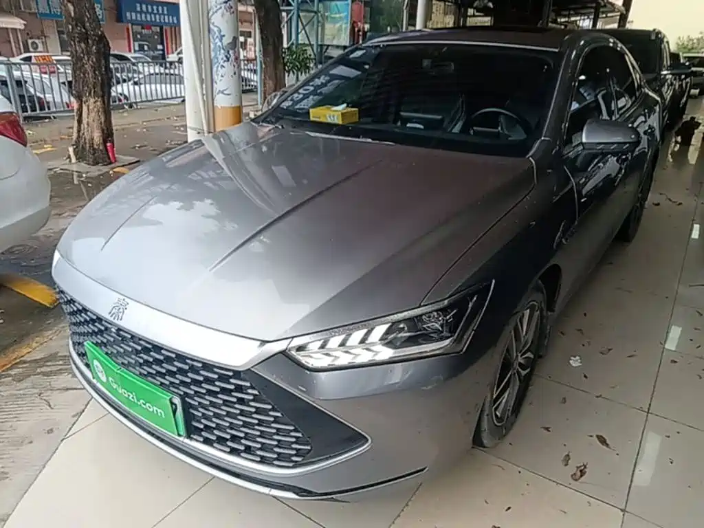 BYD Qin PLUS 2021 DM-i 55KM Flagship