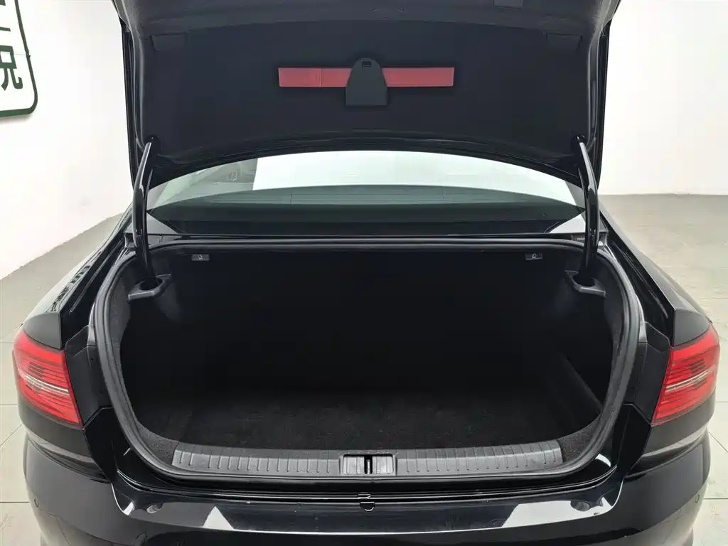 Volkswagen Magotan 2018 330TSI DSG Luxury фото 16