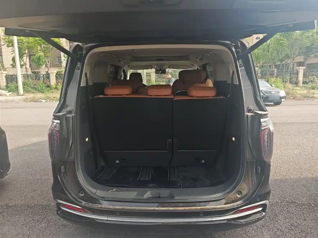 Hongqi HQ9 PHEV 2024 Model 2.0T AWD Business Edition фото 19
