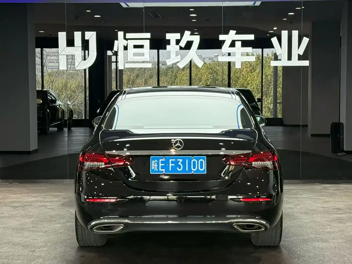 Mercedes-Benz E-Class 2021 E 300 L Luxury фото 3