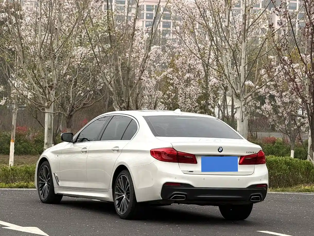 BMW 5 Series 2020 Model 530Li xDrive M Sport Package фото 6