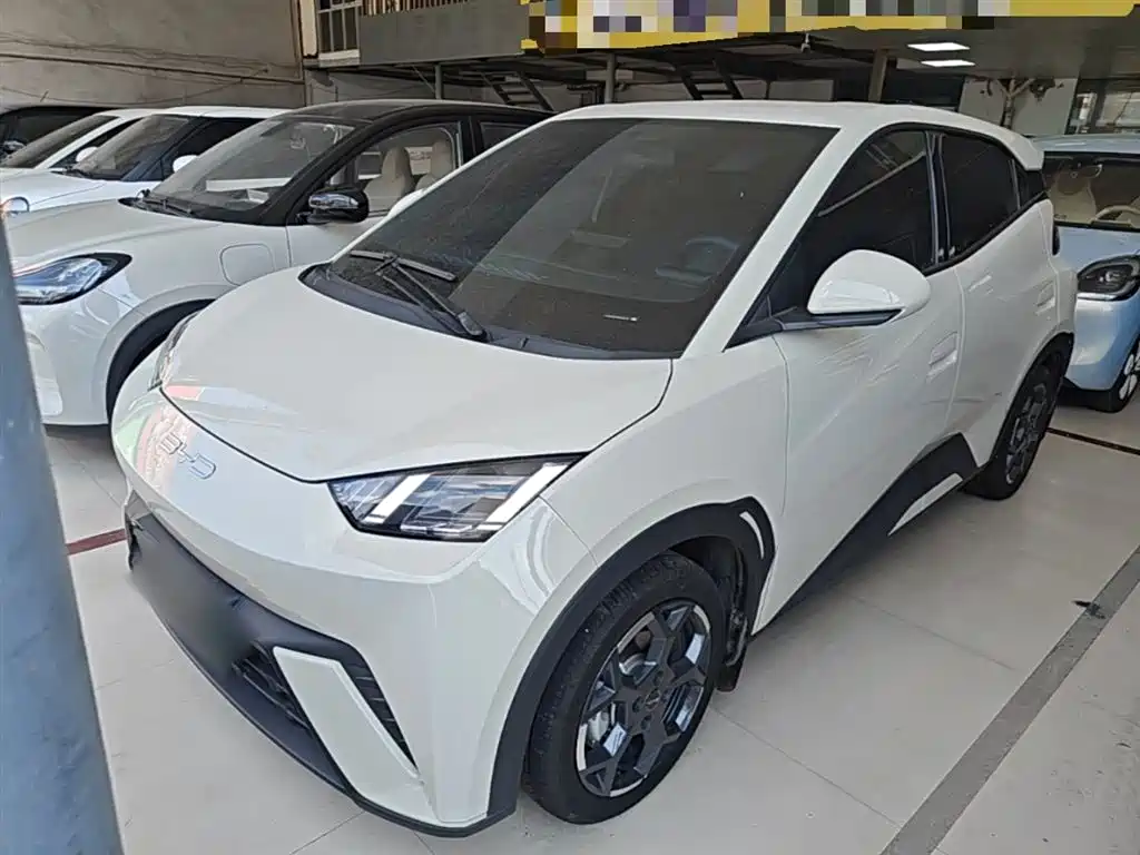 BYD Seagull 2024 Glory Edition 405km Soaring Edition фото 2