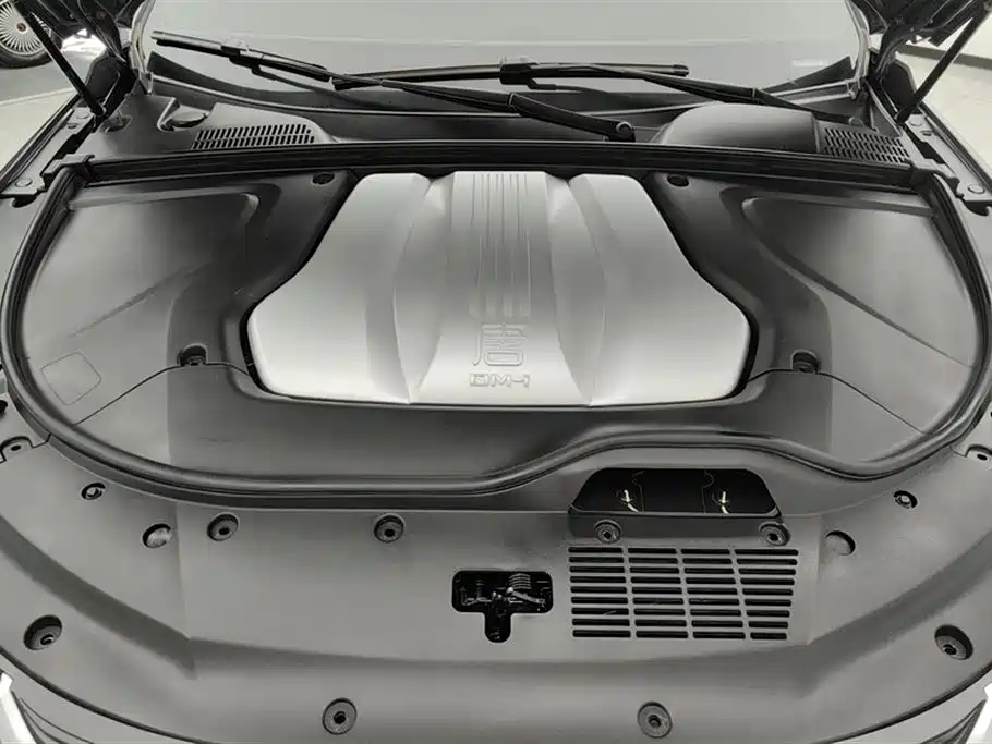 BYD Tang New Energy 2021 DM-i 112KM Premium фото 10