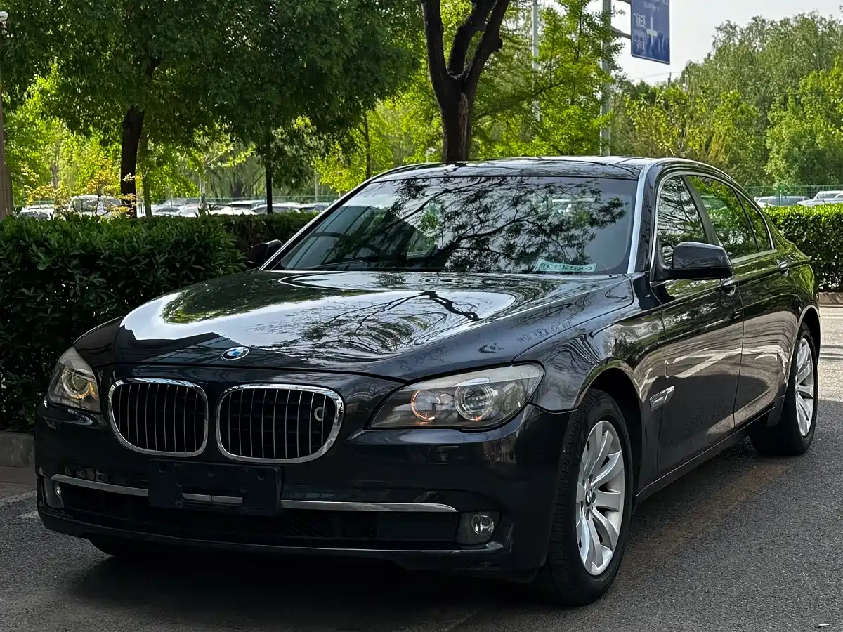 BMW 7 Series 2009 740Li Premium фото 3