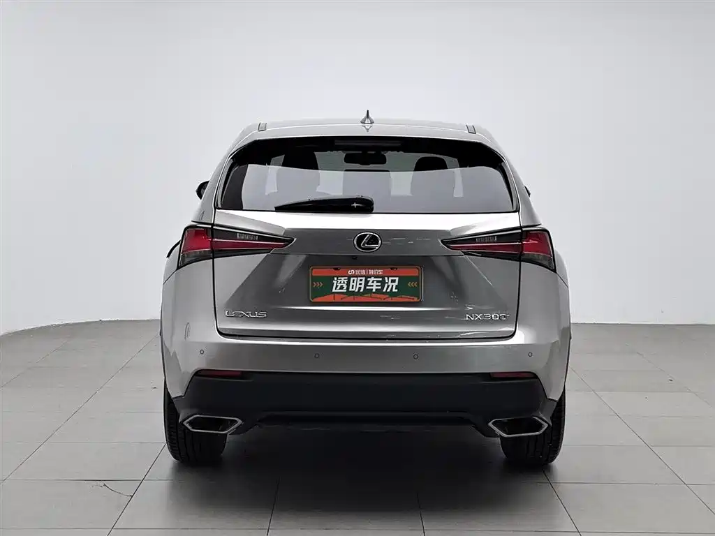 Lexus NX 2018 Model 300 FWD Fengxing Edition фото 4
