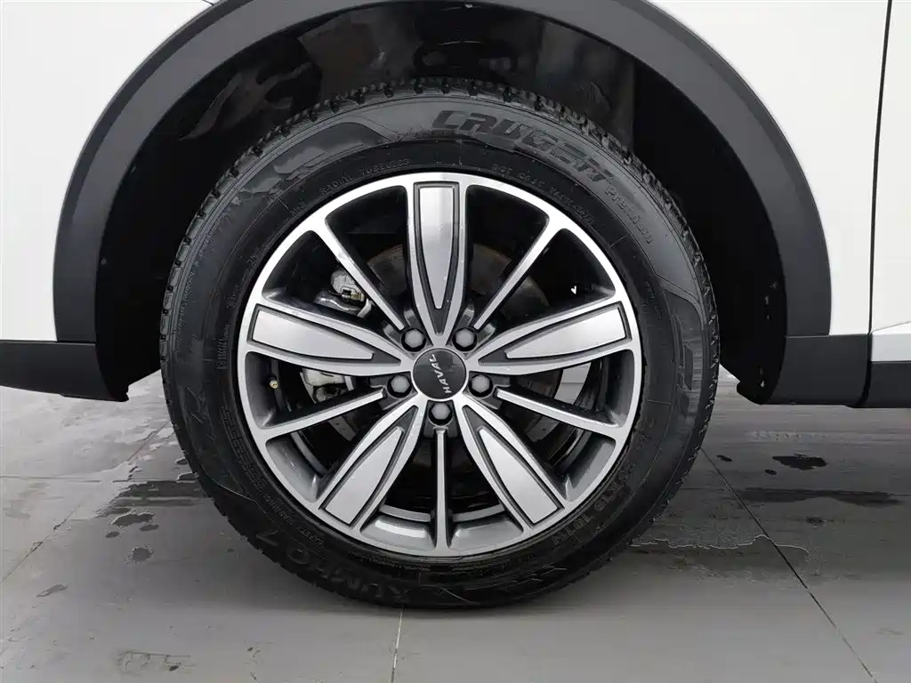 Haval H6 2021 1.5GDIT Automatic Champion Edition фото 17