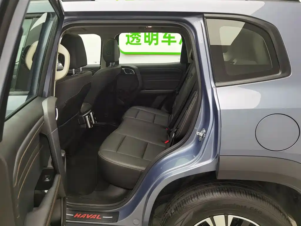 Haval Big Dog 2021 1.5T DCT 2WD Labrador Edition фото 15