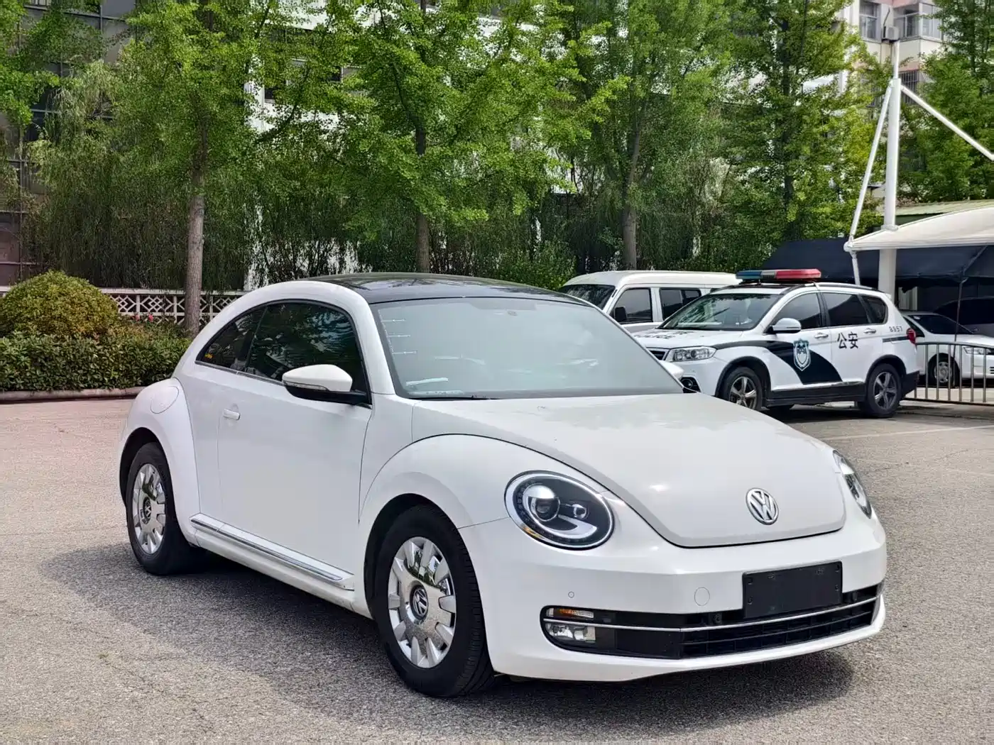 Фото 3 - Volkswagen Beetle