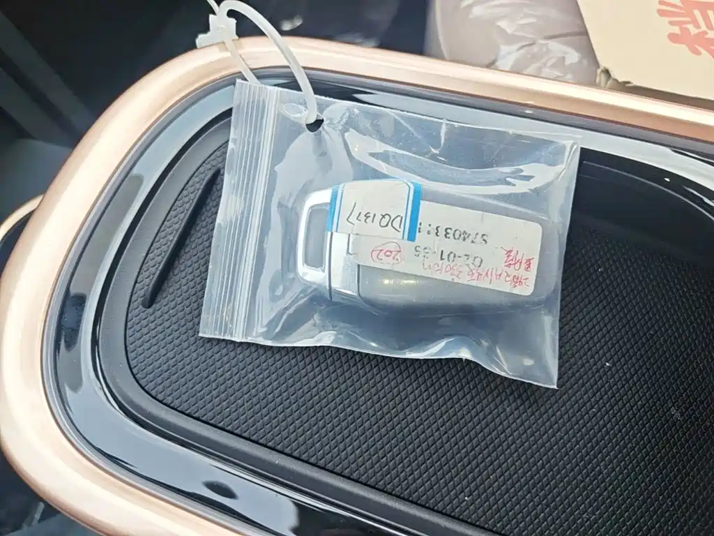 JAC Yiwei Yiwei 3 2025 2024 Beloved Edition 330km Air
