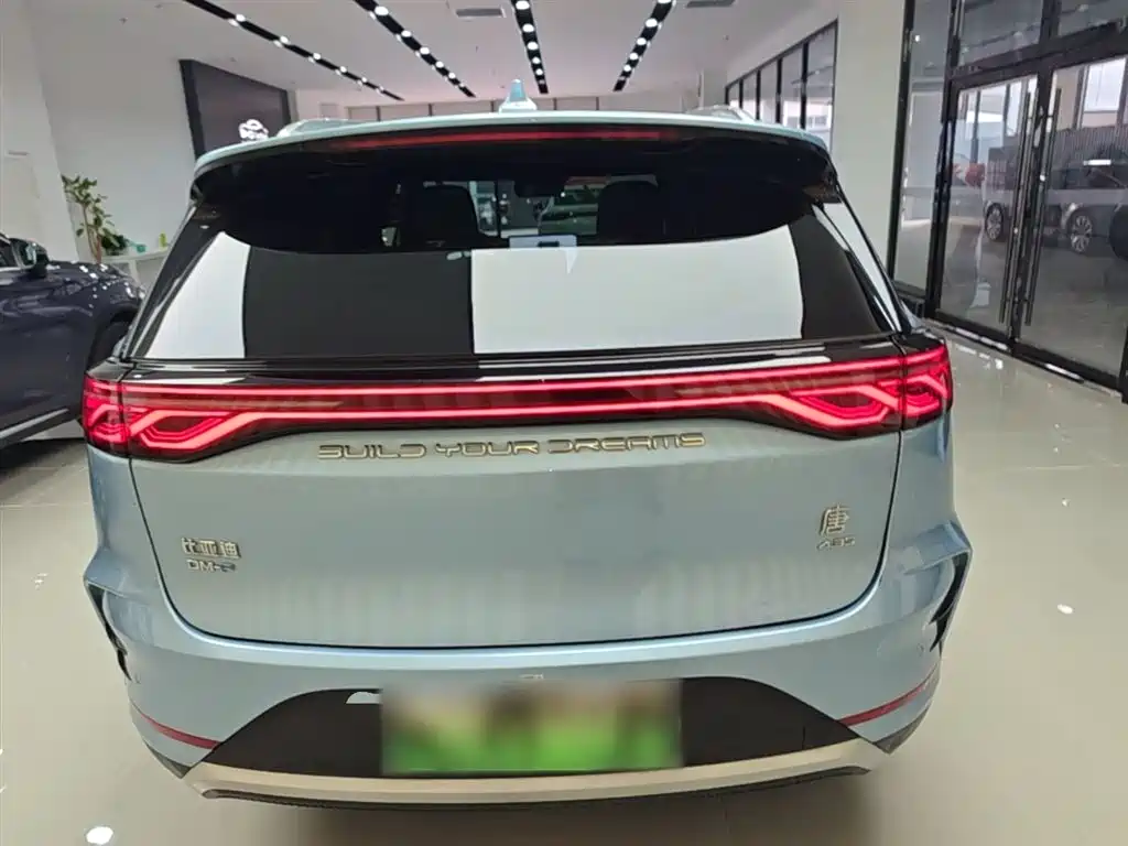 BYD Tang New Energy 2024 DM-p Champion Edition 215KM AWD Flagship фото 6