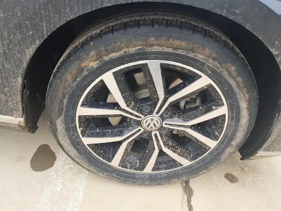 Volkswagen Magotan 2020 330TSI DSG Leading фото 6