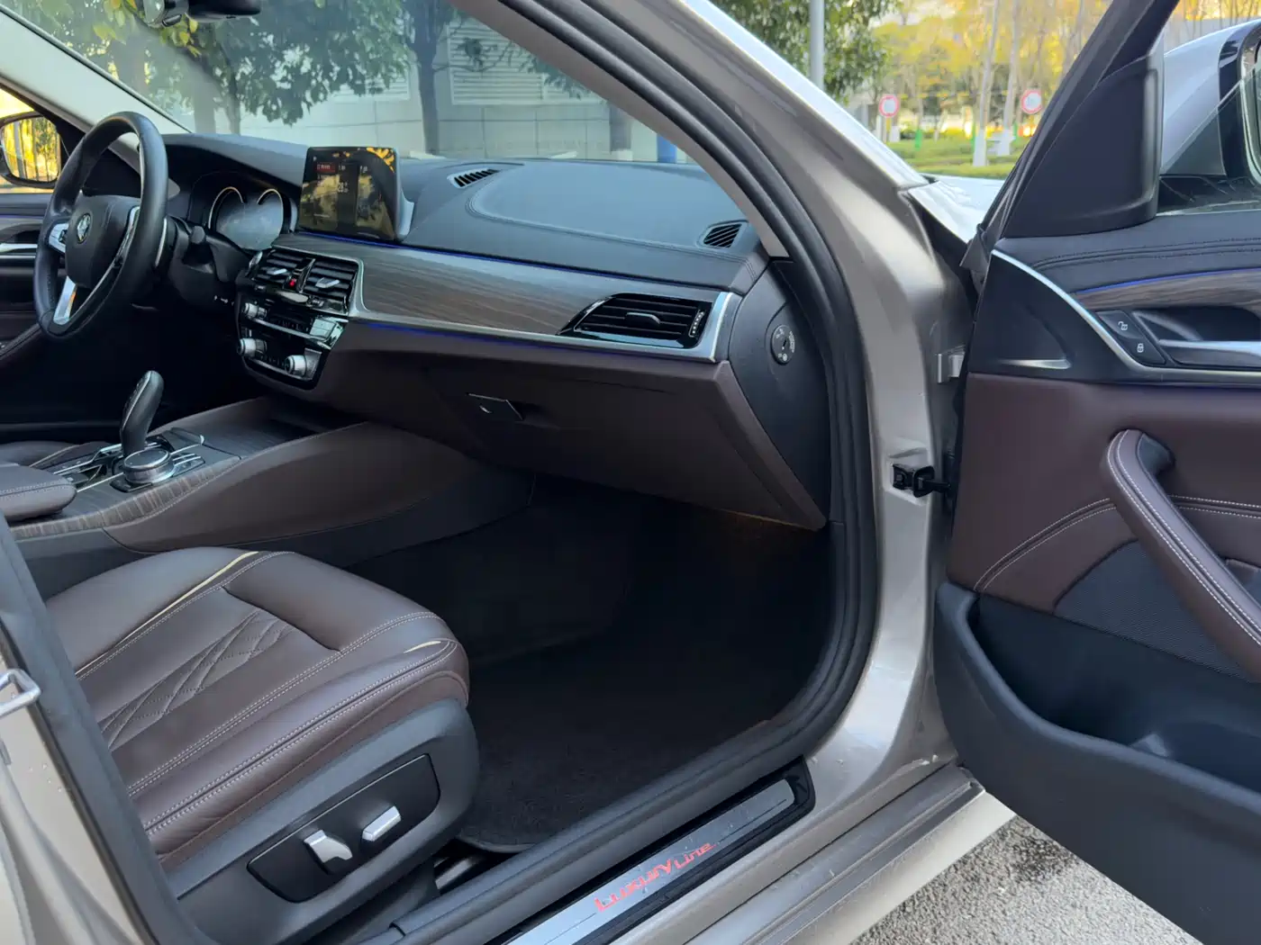 BMW 5 Series 2018 Facelift 530Li Leading Luxury Package фото 27