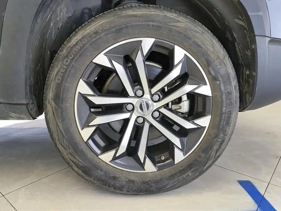 Haval Big Dog 2022 1.5T DCT FWD Border Collie Edition фото 6