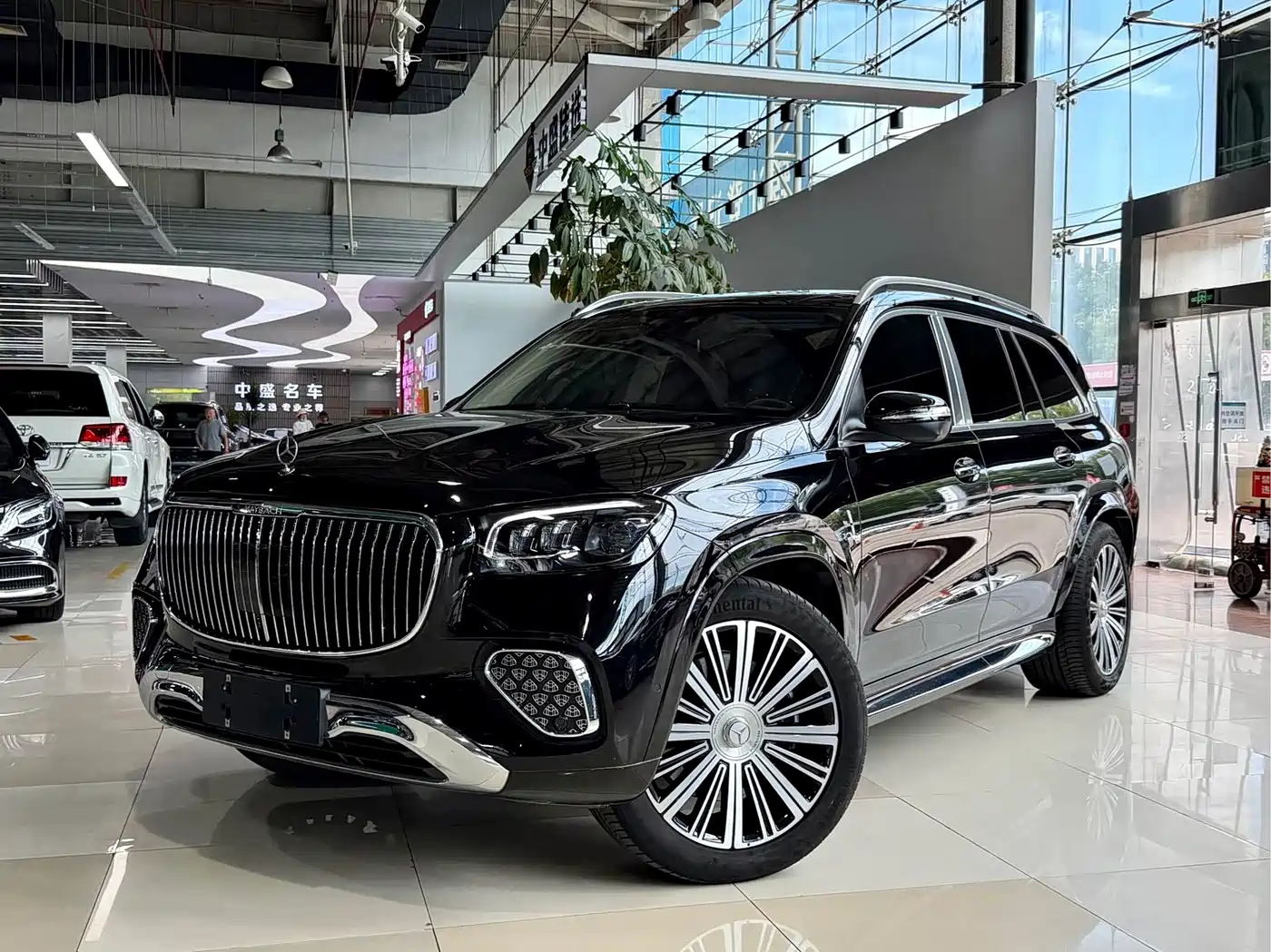 Mercedes-Benz Maybach, миниатюра 2