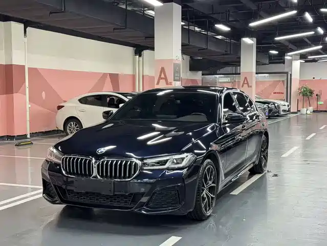 BMW 5 530Li, Престиж, M Спорт-пакет