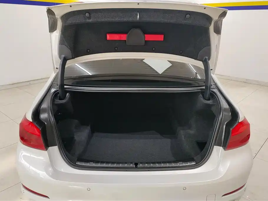 BMW 5 Series 2018 Facelift 530Li Leading Luxury Package фото 4