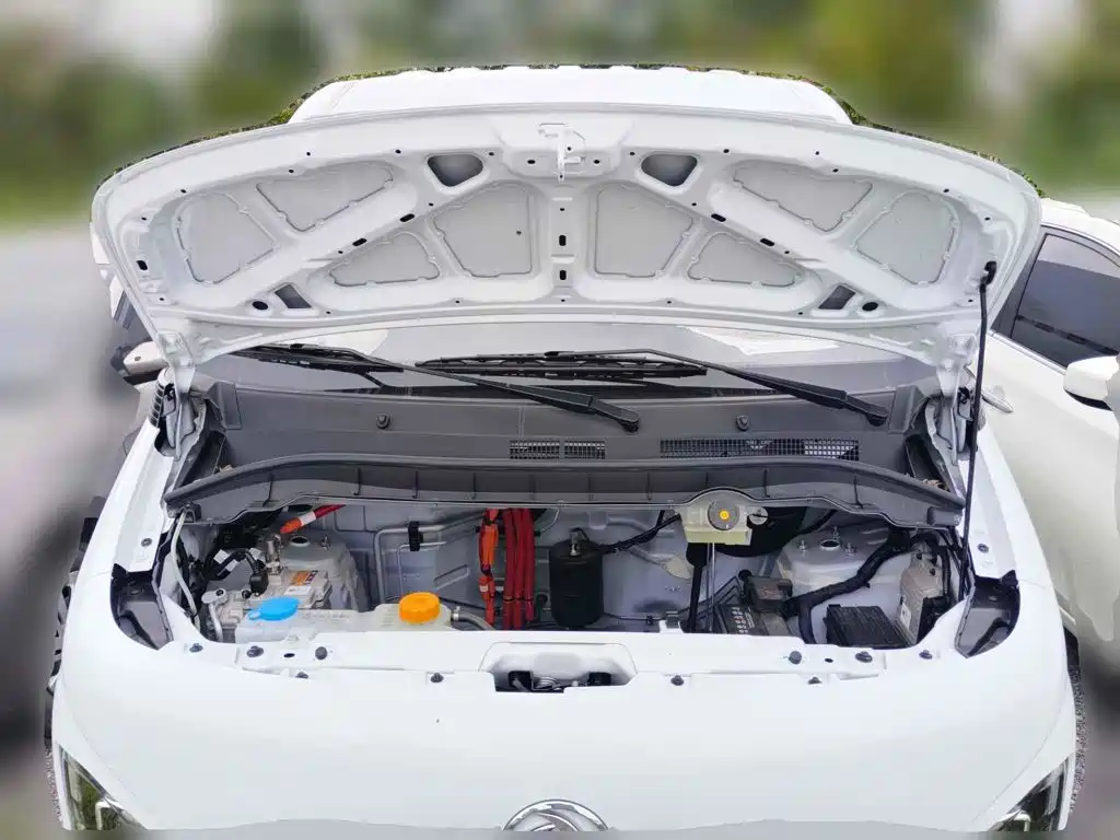 2026 Dongfeng RuiliDa V5