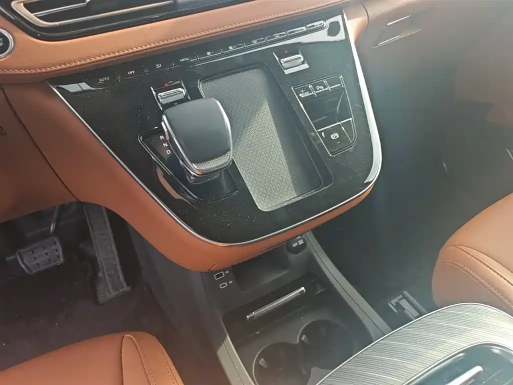 Hongqi HQ9 PHEV 2024 Model 2.0T AWD Business Edition фото 14