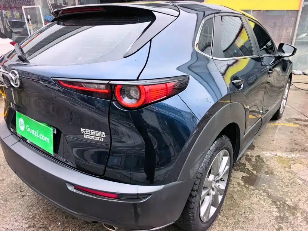 Mazda CX-30 2021 2021 2.0L Auto Elegant Joy Type